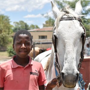 blind-love-cart-horse-outreach-program-01