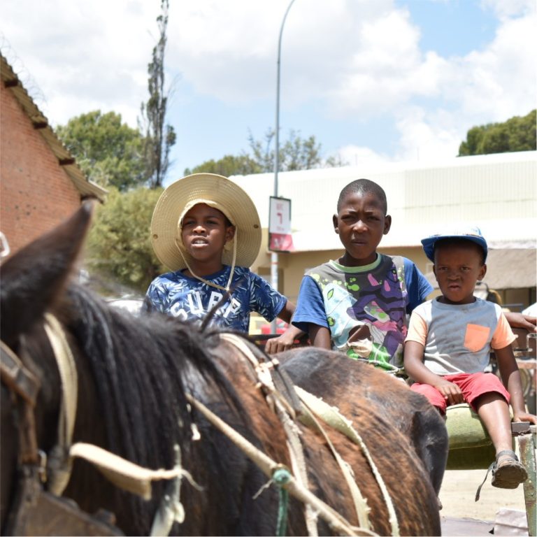 blind-love-cart-horse-outreach-program-05