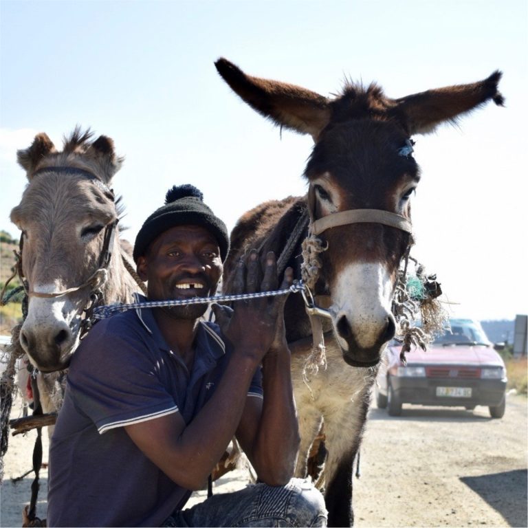 blind-love-grahamstown-donkey-outreach-program-3