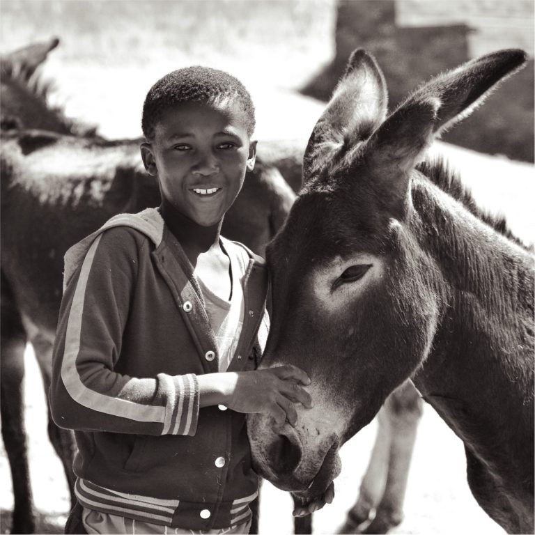 blind-love-grahamstown-donkey-outreach-program-6