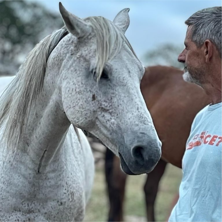 blind-love-herd-by-a-horse-2