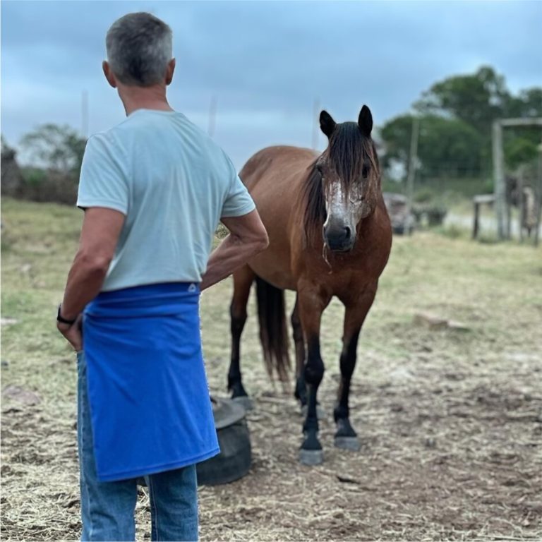 blind-love-herd-by-a-horse-3