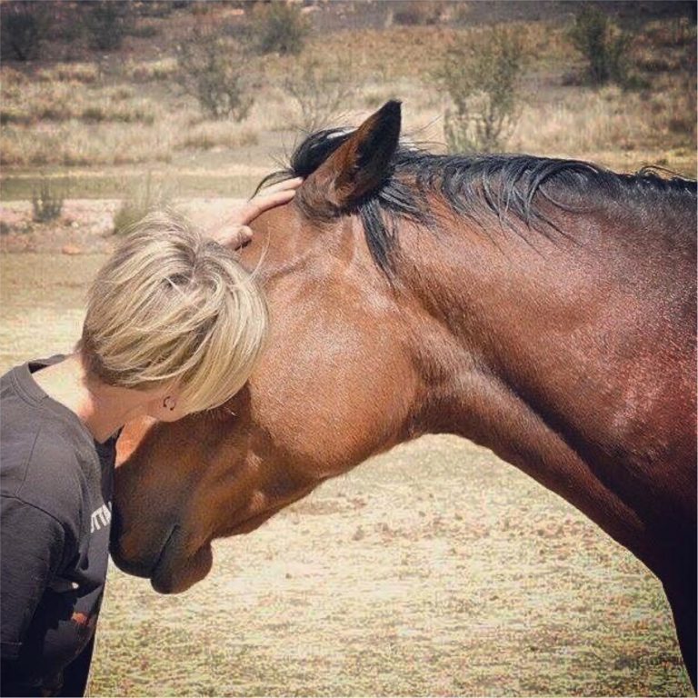 blind-love-our-sanctuary-horses-and-donkeys-6